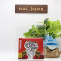 POLYPHIA-NEW LEVELS NEW DEVILS-JAPAN CD New