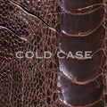 CD vistlip - COLD CASE [CD+DVD] Normal disc