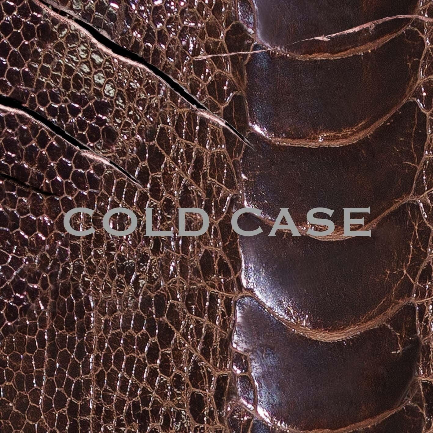 CD vistlip - COLD CASE [CD+DVD] Normal disc