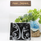 Billlie Knock-on Effect Limited Edition CD DVD Photo Card Sticker Japan New