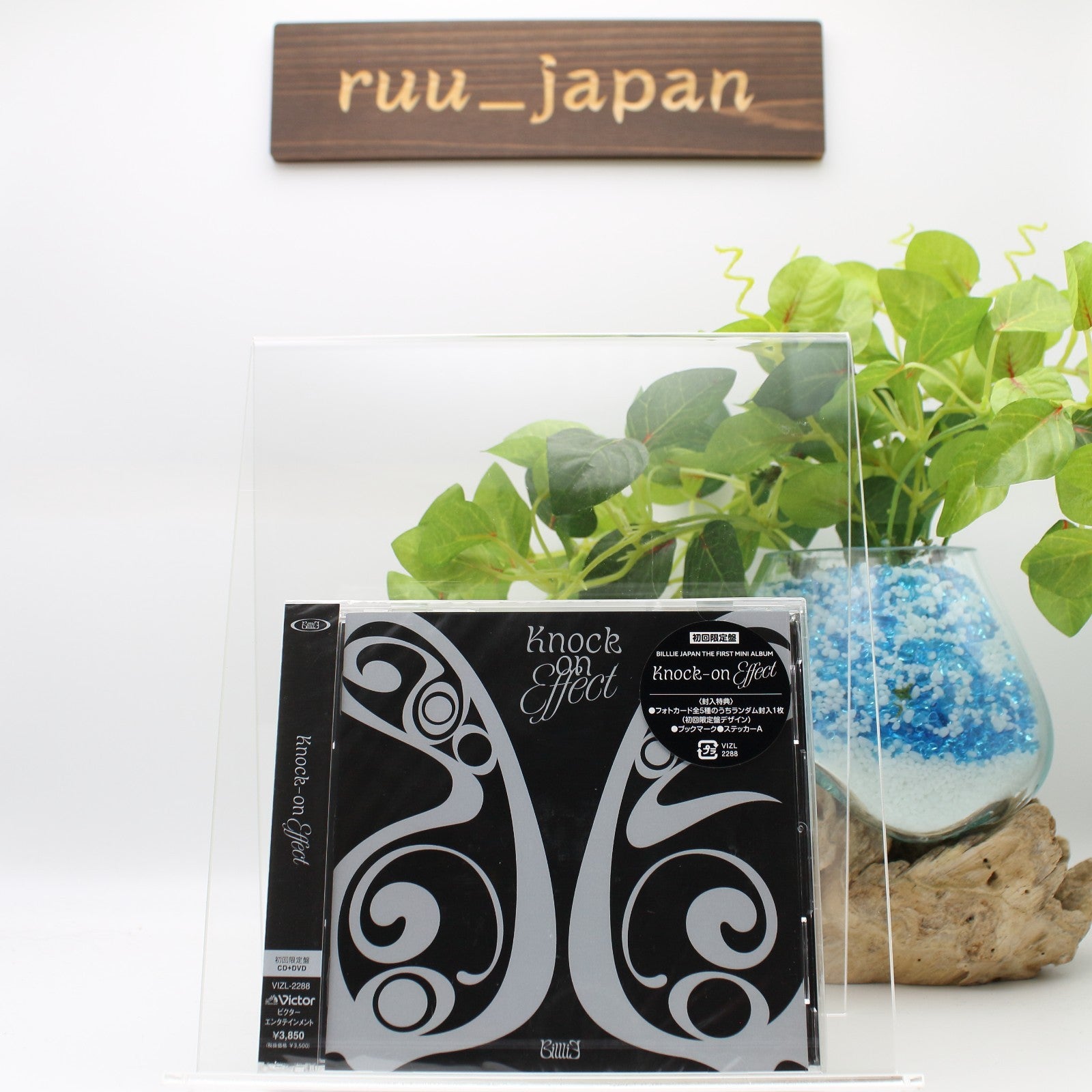 Billlie Knock-on Effect Limited Edition CD DVD Photo Card Sticker Japan New