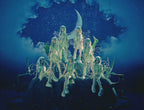 New XG AWE COCONA Solo ver. Limited Edition CD 2nd Mini Album NFCC-19