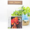 New Walter Wanderley Batucada (SHM-CD) Japan Music CD