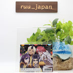 Monster Musume no Iru Nichijou Everyday Life with Monster Girls Album 2 CD New