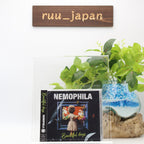 New NEMOPHILA Beautiful days Limited Edition CD w/ Blu-ray DDCZ-9079 Single