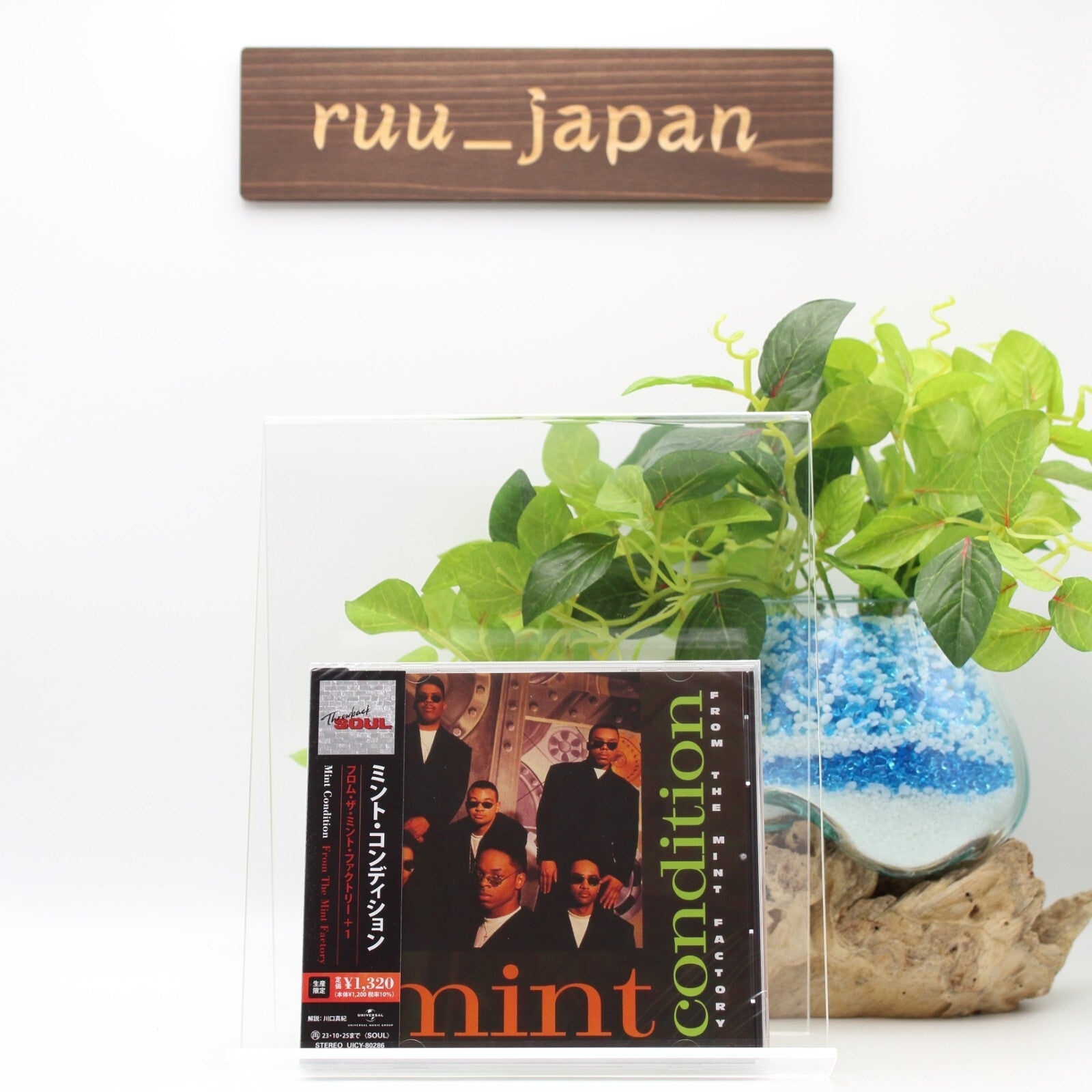 Throwback Soul 2023 MINT CONDITION From The Mint with Bonus Track JAPAN New