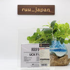 Kiss CD (SHM-CD) Lick It Up Japan NEW
