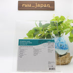 CD New NATIONAL HEALTH Live In Toronto 1979 JAPAN