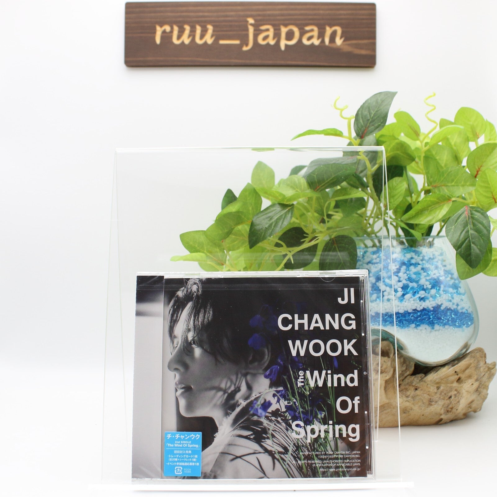 New JI CHANG WOOK The Wind Of Spring JAPAN CD+CARD Standard edition