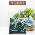 CD New AWAKENING:SLEEPING (reissue) Japan MASS OF THE FERMENTING DREGS Music