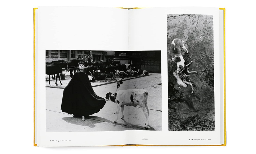 New Masahisa Fukase 1961-1991 Retrospective Art Photography Book