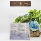 CD New Hibiki-Vol.4 Baidu-Mito-Japanese female composer genealogy Fine Duo Son