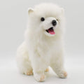 Samoyed Ken No.5267 NEW