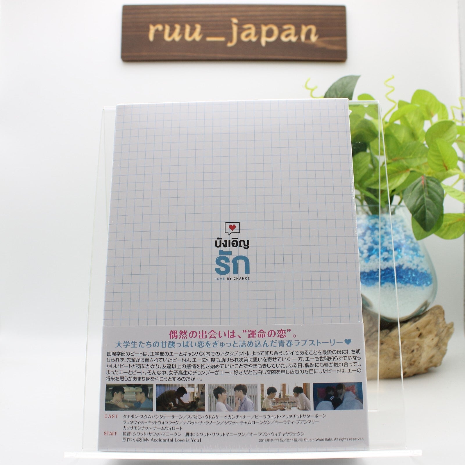 New Love by Chance DVD-BOX Standard Edition Thai BL Drama Series
