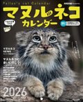 New 2026 Pallass Cat Japanese Calendar
