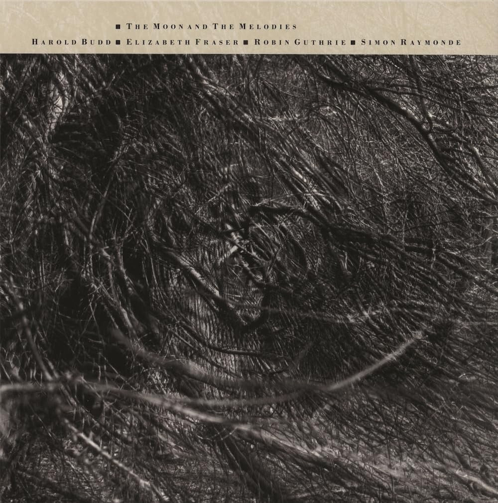 New Harold Budd / The Moon and the Melodies From Japan CD 8tracks