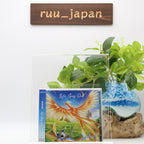 New HAGANE Life Goes On CD EACC-5001