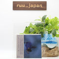 Lucrecia Dalt ¡Ay! Japan Music CD New
