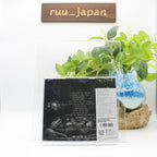 New MACHINE HEAD UNATONED  2025 JAPAN CD
