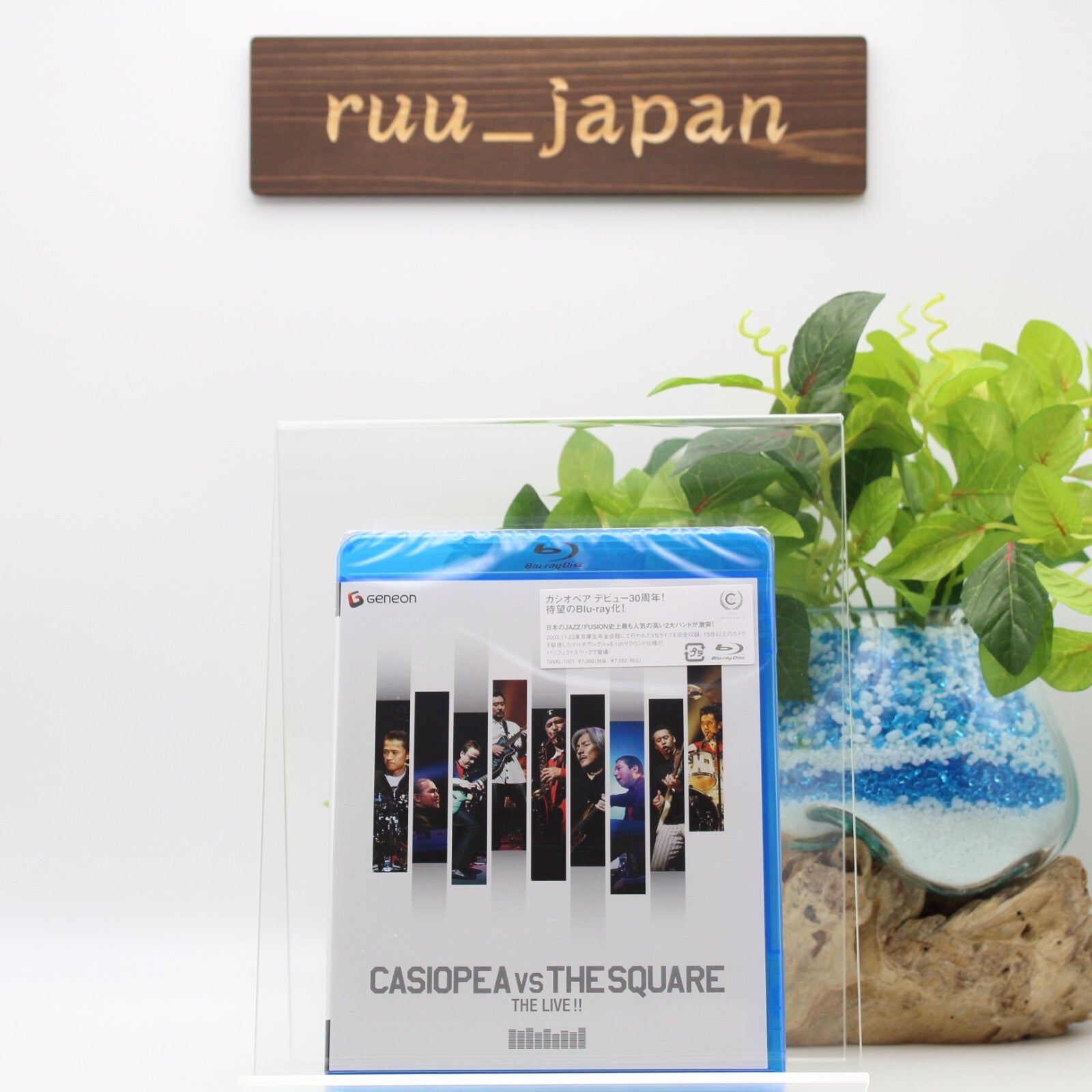 New CASIOPEA VS THE SQUARE THE LIVE!! [Blu-ray]