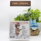 New CD Bob Dylan 2 CD The Very Best Of Bob Dylan 35 Tracks from Japan