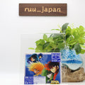 New Saint Seiya Song Best-JAPAN Blu-Spec CD