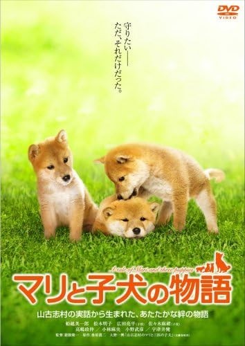 DVD New Toho A Tale Of Mari And Three Puppies Standard Edition