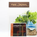 PAGE 99-For Imagination窶冱 Sake-CD BONUS TRACK JAPAN New