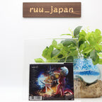 tuki. 15 Regular Edition CD+Bonus Track Japan SECL-3178 New