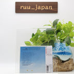Two Against Nature CD New