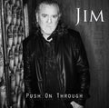 New JIM JIDHED Push On Through + 1 JAPAN CD Alien Glamour Swedish Melodious