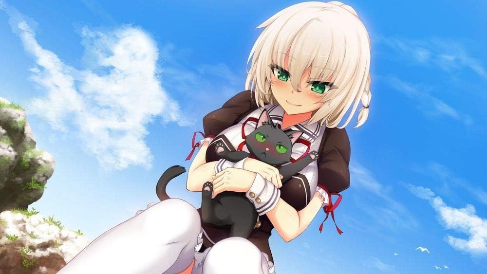 New Nora and the Princess and the Stray Cat Heart HD PS4 Japan