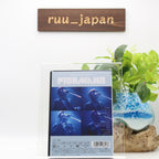 FISHMANS Otokotachi No Wakare 12/28/98 Live @Akasaka BLITZ JAPAN UPBY-5055 DVD
