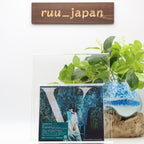 New SawanoHiroyuki[nZk] V First Limited Edition CD Blu-ray