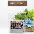 BTS [Bangtan Boys] Japan First Full Album [WAKE UP] Regular Edition new