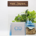 EXID Japan Activity Best 2 CD Japan TKCA-75090 New