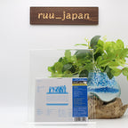 Air Pocket Fly On (Limited Edition) Japan Music CD New