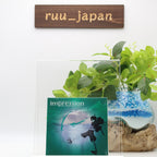 New SAMURAI CHAMPLOO MUSIC RECORD IMPRESSION Nujabes  2024  JAPAN CD