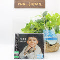 ZAYN – Mind Of Mine CD Album Bonus Track From Japan NEW