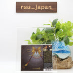 New Nick Johnston Child of Bliss Japan Music CD
