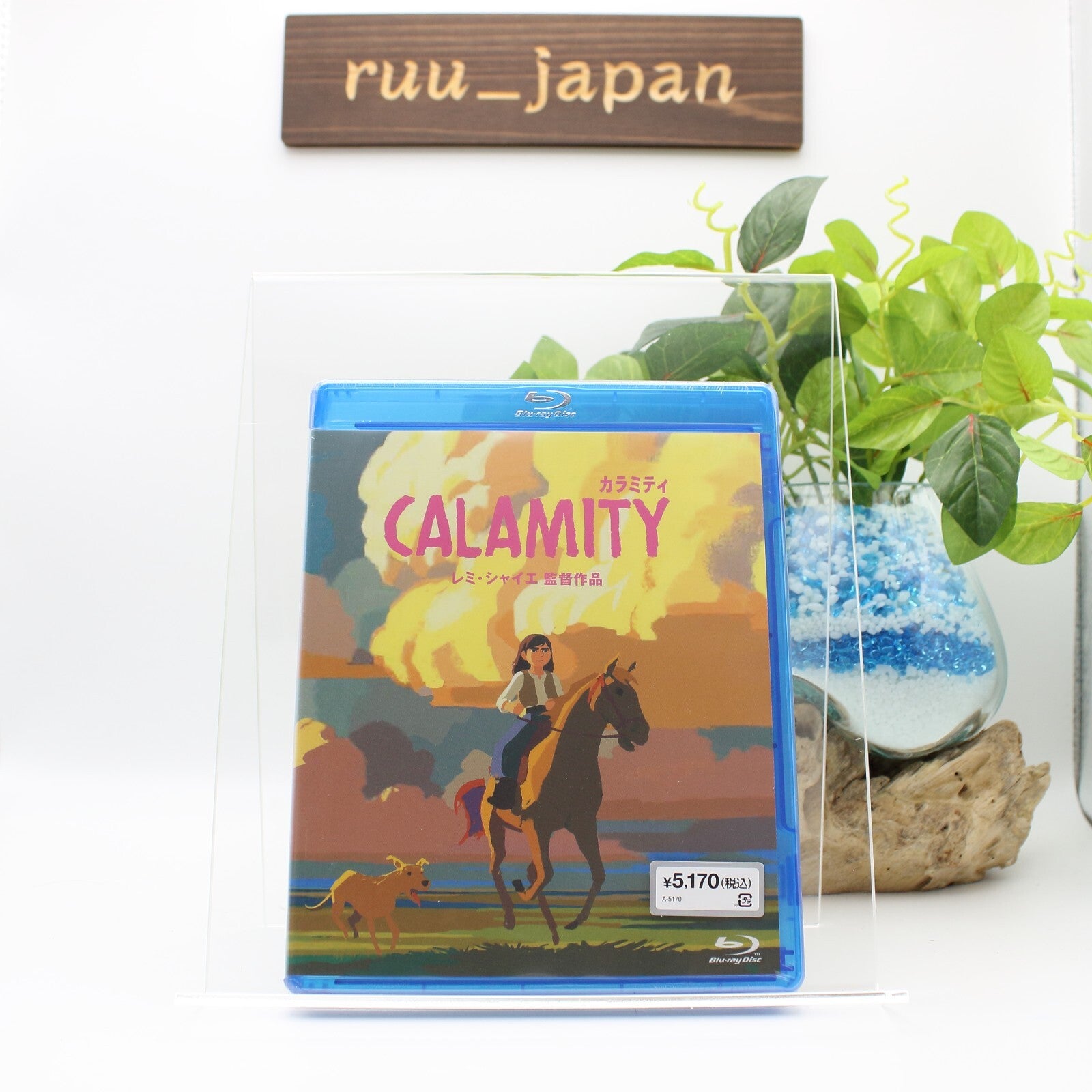CALAMITY. A CHILDHOOD OF MARTHA JANE CANNARY (Blu-ray1) New