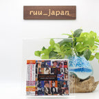 2022 JANET JACKSON JAPANESE SINGLES COLLECTION JAPAN 2 SHM CD + DVD NEW