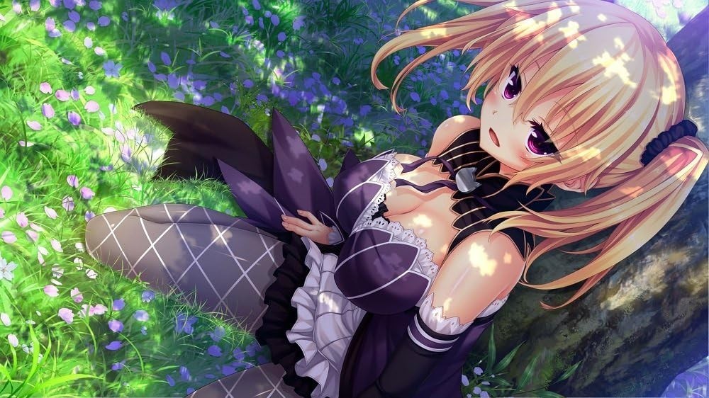 New Nora and the Princess and the Stray Cat Heart HD PS4 Japan