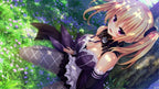 New Nora and the Princess and the Stray Cat Heart HD PS4 Japan