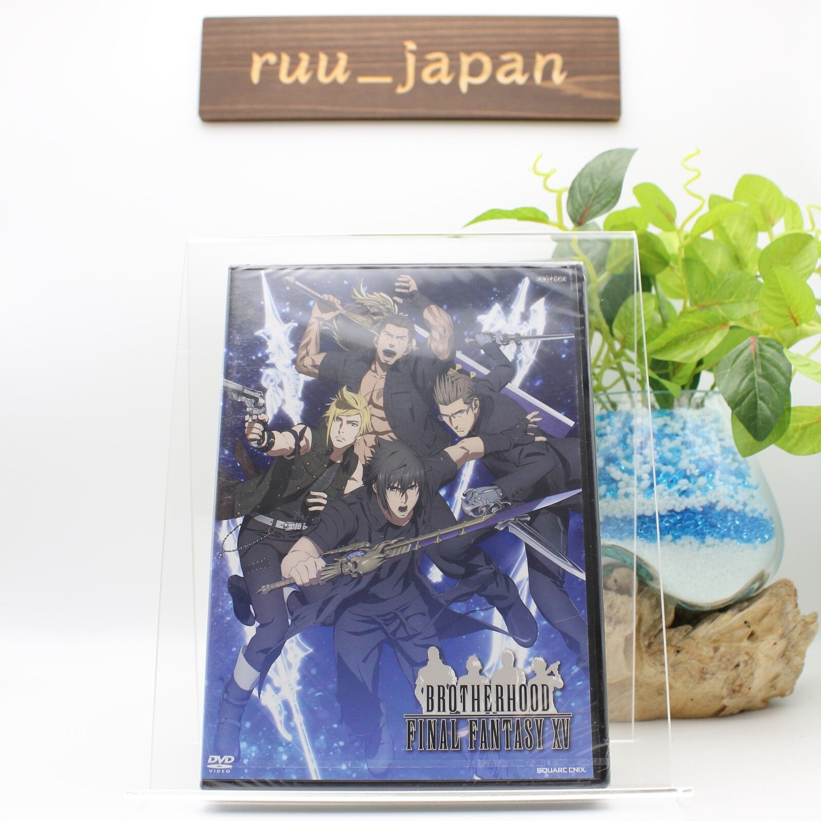 BROTHERHOOD FINAL FANTASY XV DVD Japan English NEW