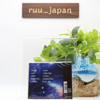 NEMOPHILA EVOLVE CD (Regular Version DDCZ-2303) Japanese HM/HR From Japan NEW