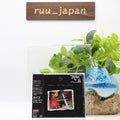 KYGO THRILL OF THE CHASE 2022 JAPAN CD From Japan NEW