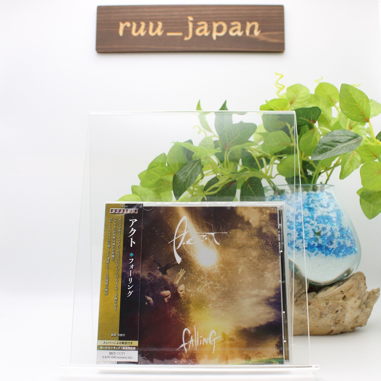 A.C.T FALLING WITH BONUS TRACK 2023 JAPAN CD NEW