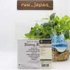 New YNGWIE J.MALMSTEENS RISING FORCE-S/T-JAPAN SHM-CD