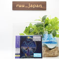 Disney Wish Original Soundtrack Deluxe Edition 2 CD Japan New